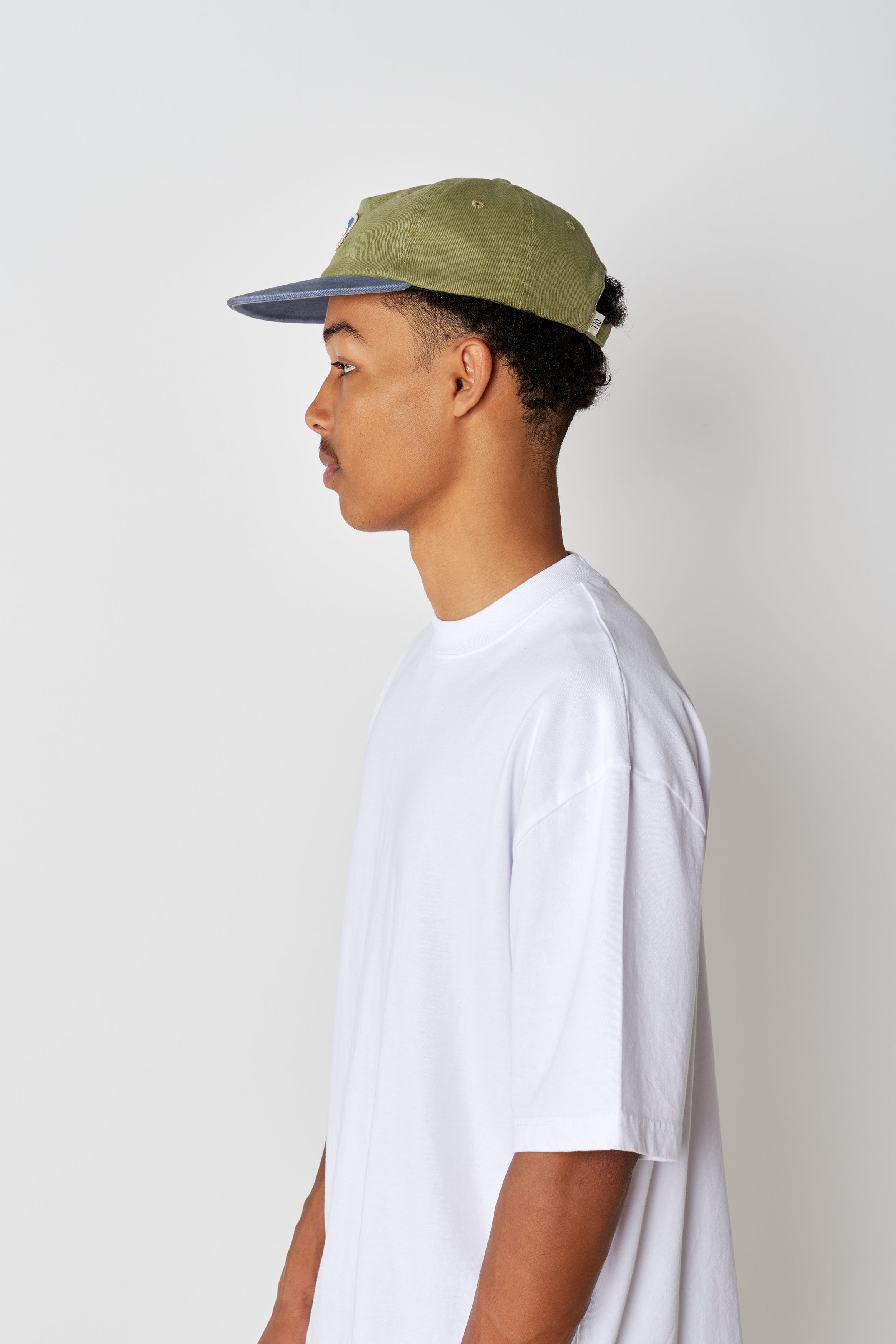Servo Cap - Green/Blue