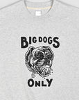 *IMPERFECT* Big Dogs Only 3.0 T - Snow Marle