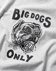 *IMPERFECT* Big Dogs Only 3.0 T - Snow Marle