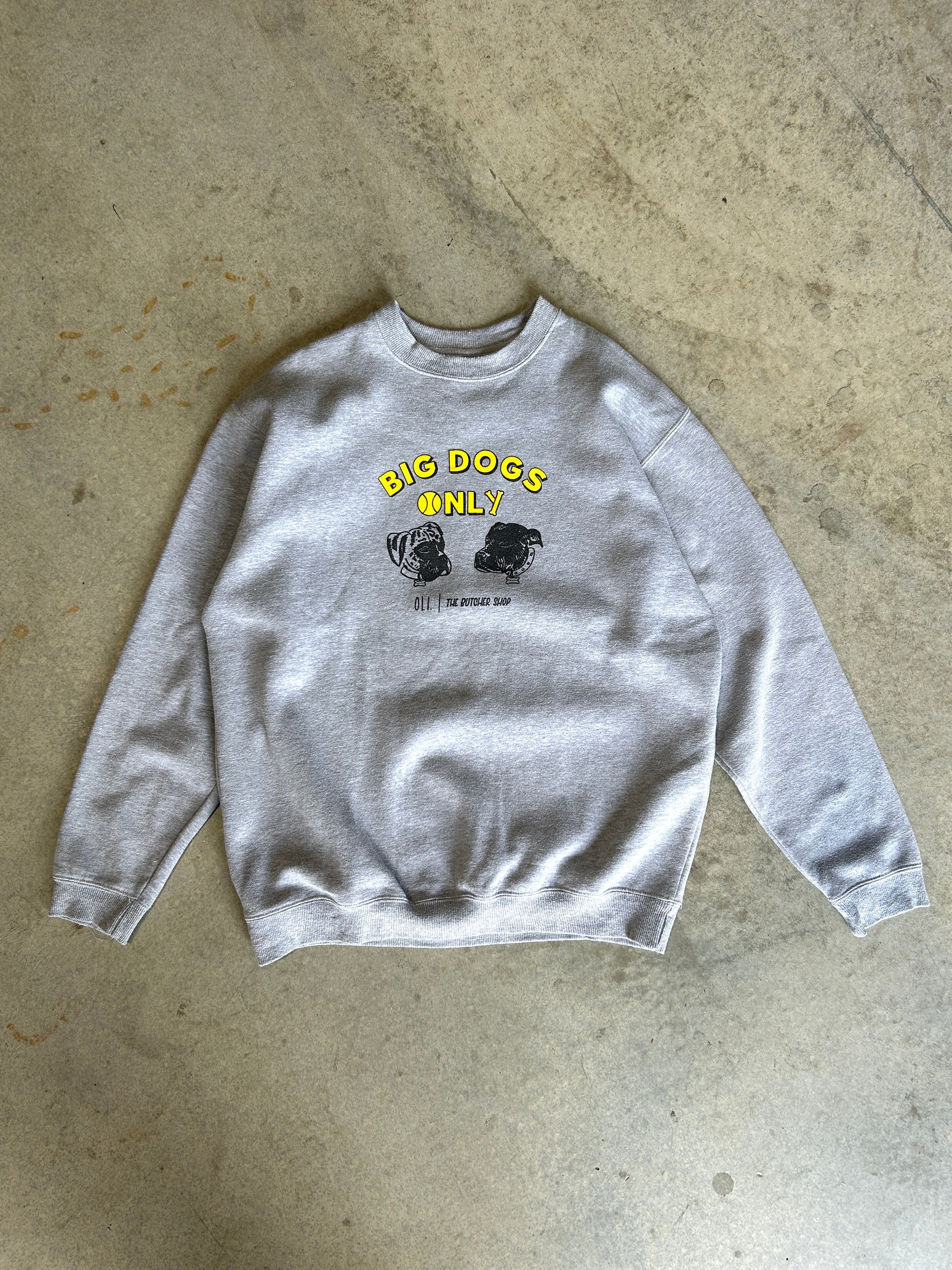 PRE LOVED | BIG DOGS PULLOVER - L