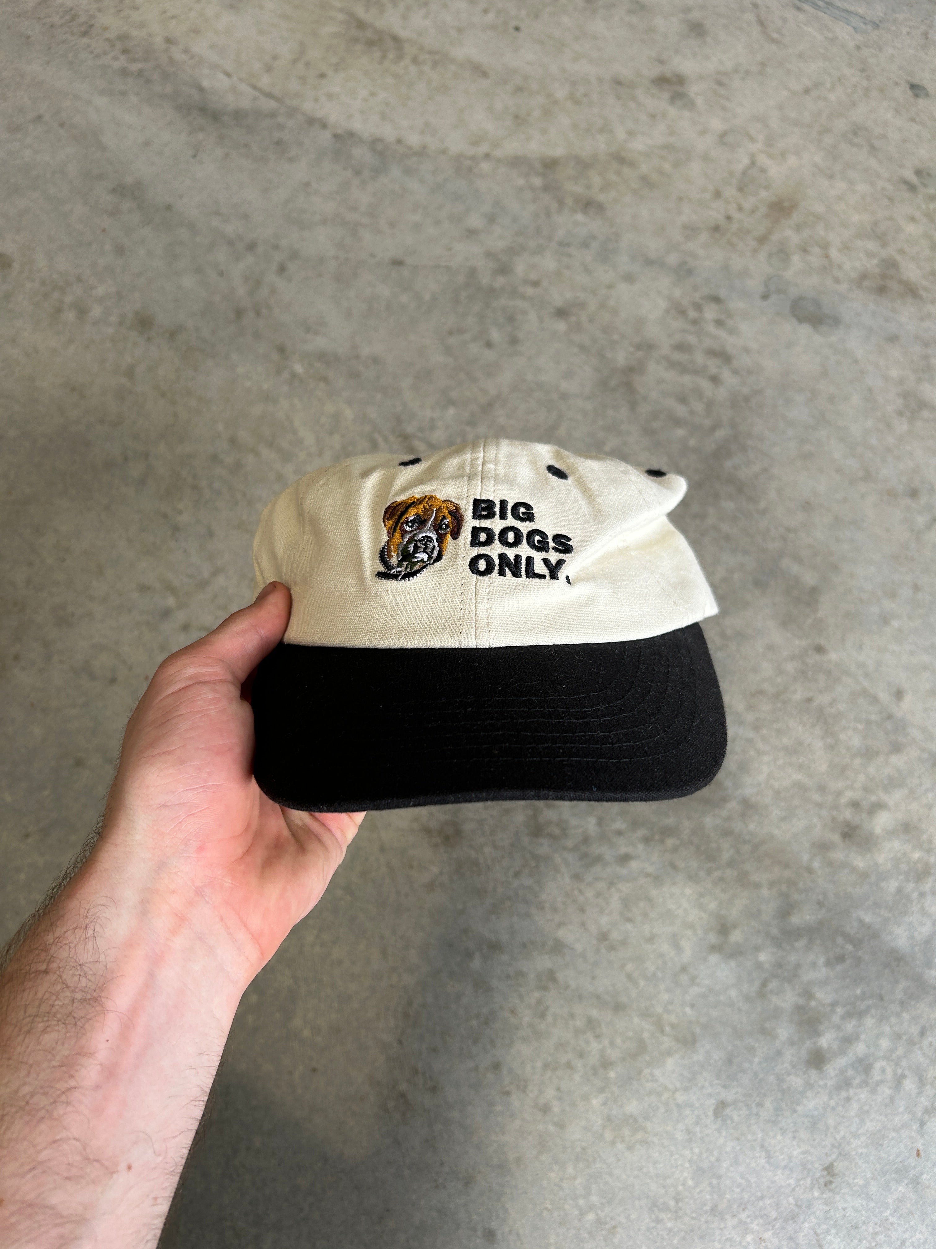 PRE LOVED | BIG DOGS ONLY CAP