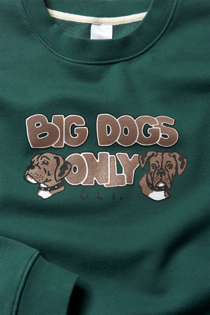 Big Dogs Only 4th Generation Pullover - Teal