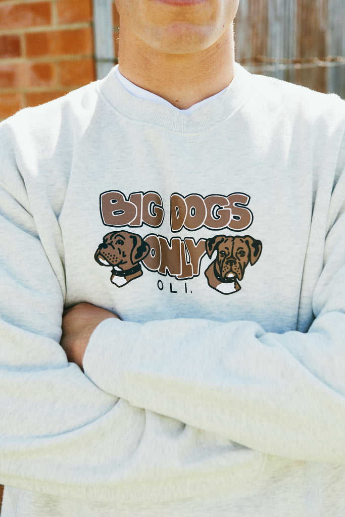 Big Dogs Only 4th Generation Pullover - Snow Marle