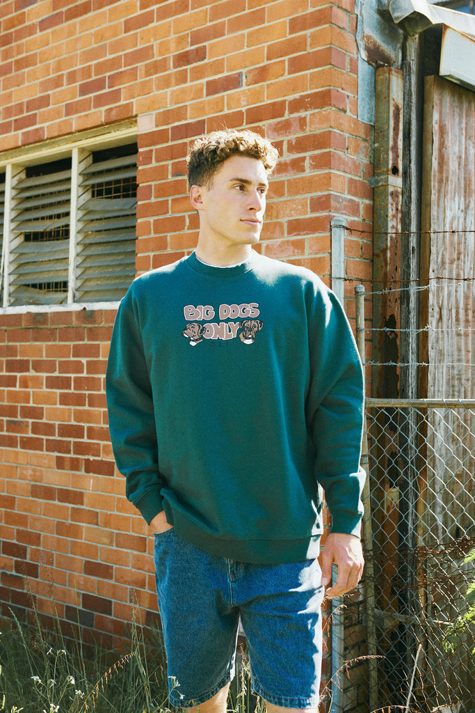 Big Dogs Only 4th Generation Pullover - Teal