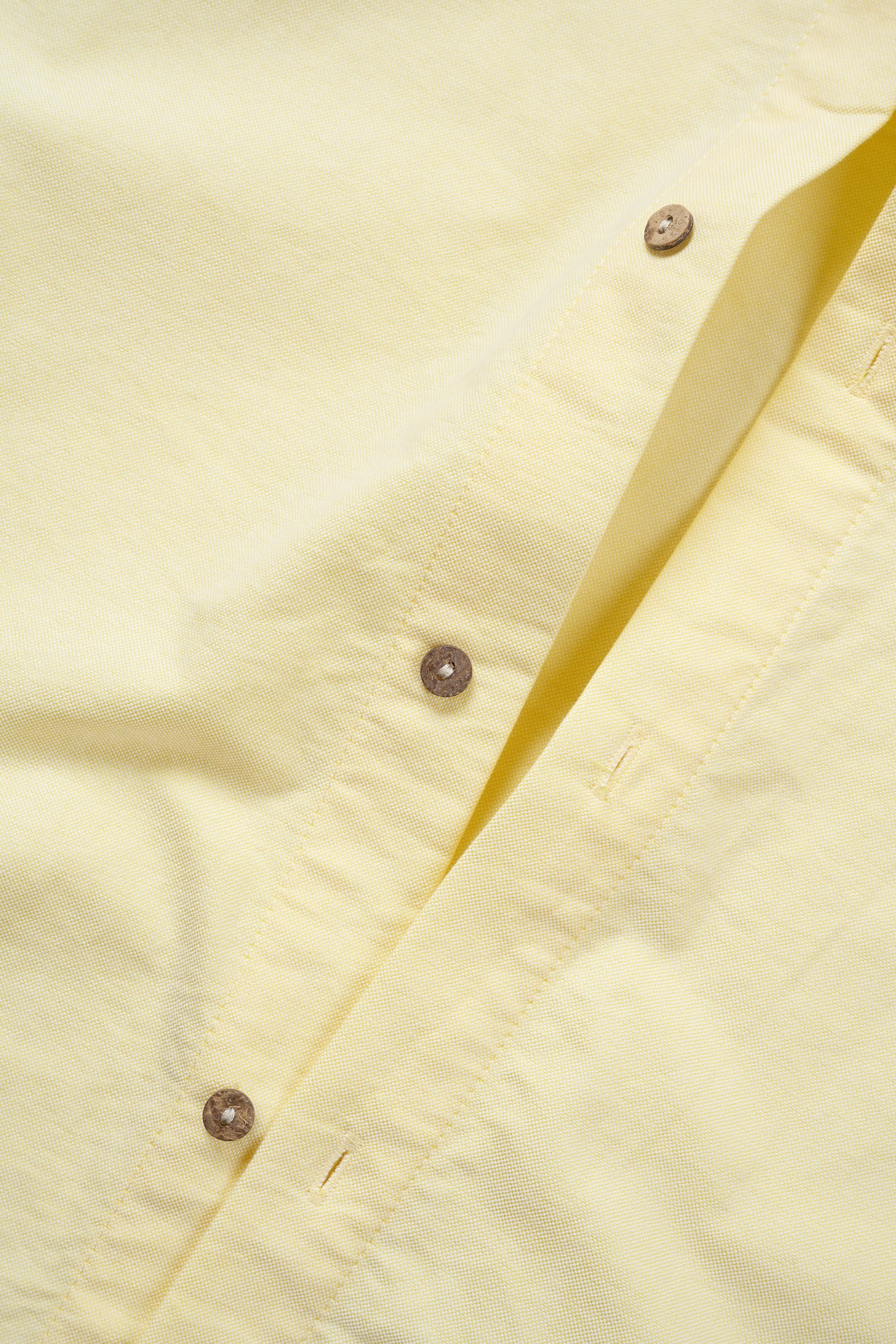 Oxford Button Up - Lemon