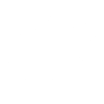 Do Good Project logo