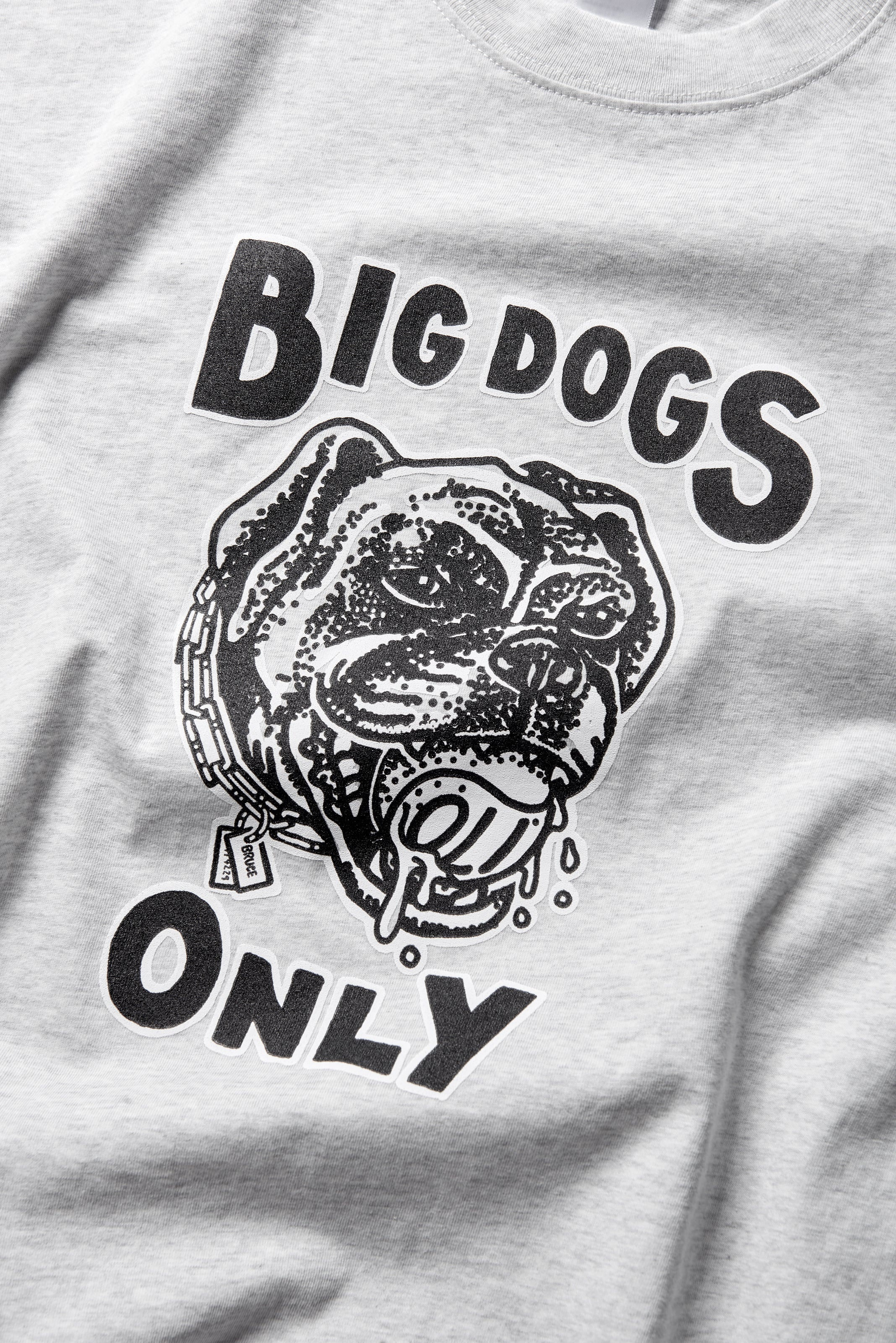 *IMPERFECT* Big Dogs Only 3.0 T - Snow Marle