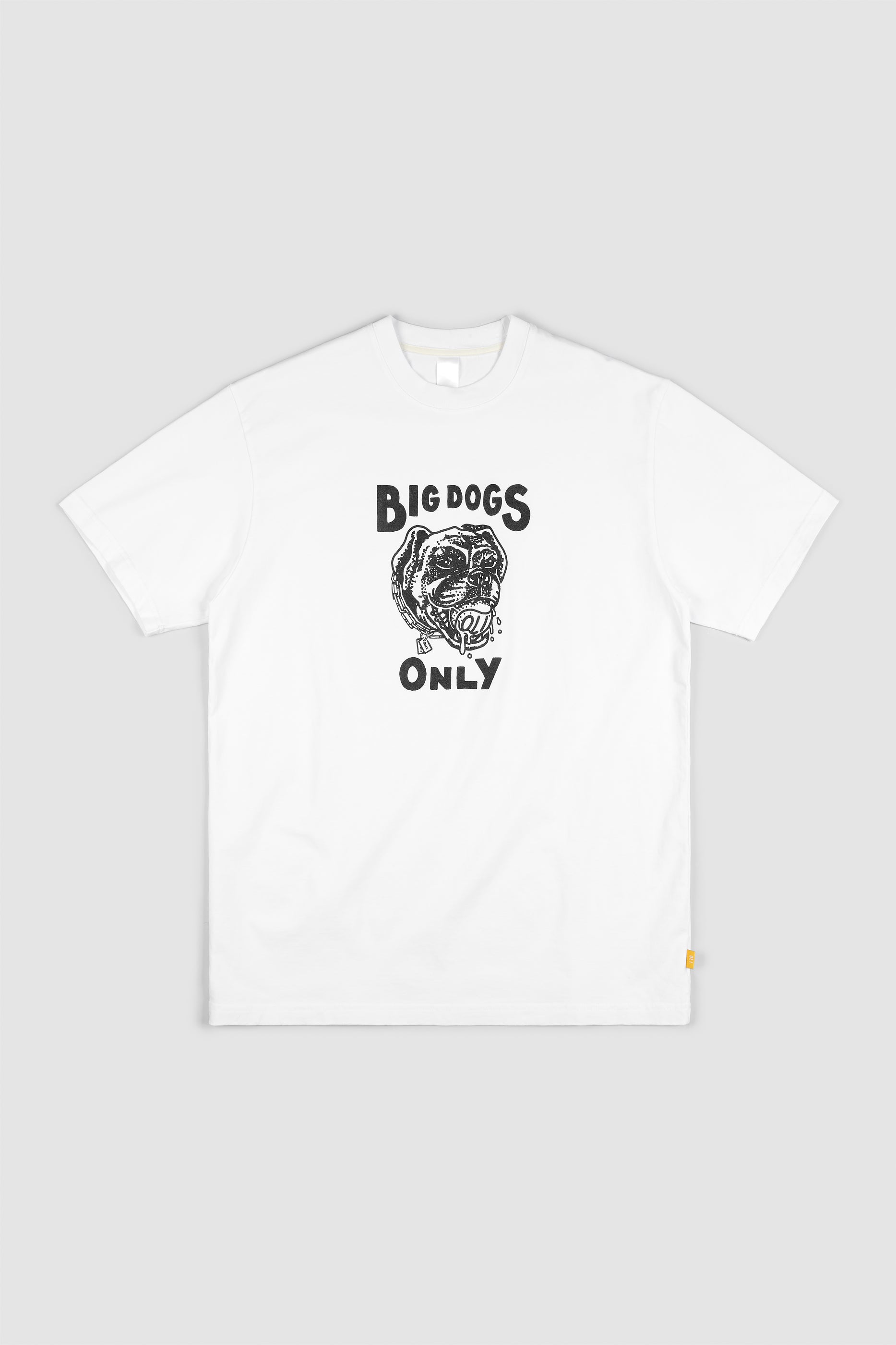 *IMPERFECT* Big Dogs 3.0 T - White