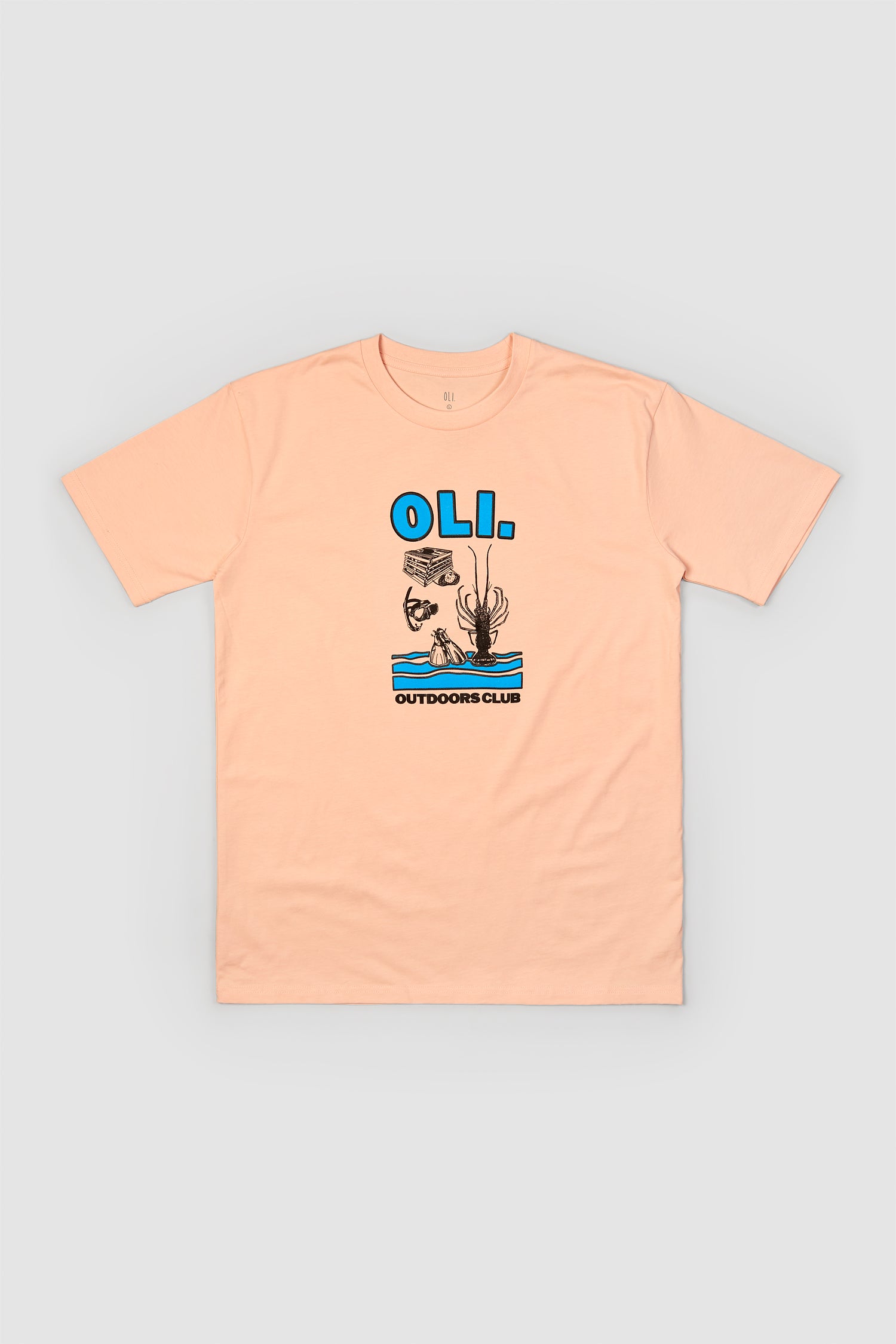 *IMPERFECT* Cray T - Apricot